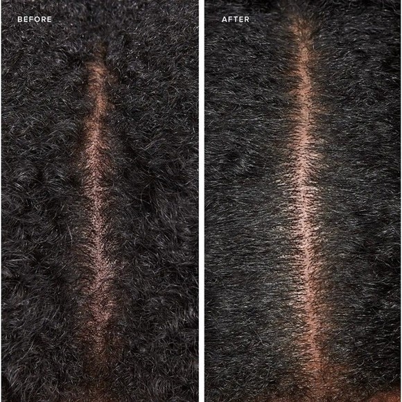 SEALED Paul Mitchell Tea Tree Special Detox Kombucha Rinse Scalp Clarify Shine - Picture 5 of 9